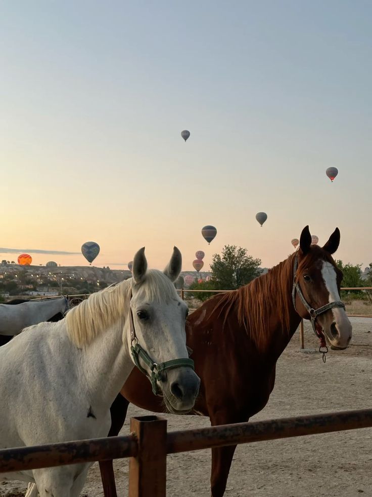 123 Trip Cappadocia - фото 7
