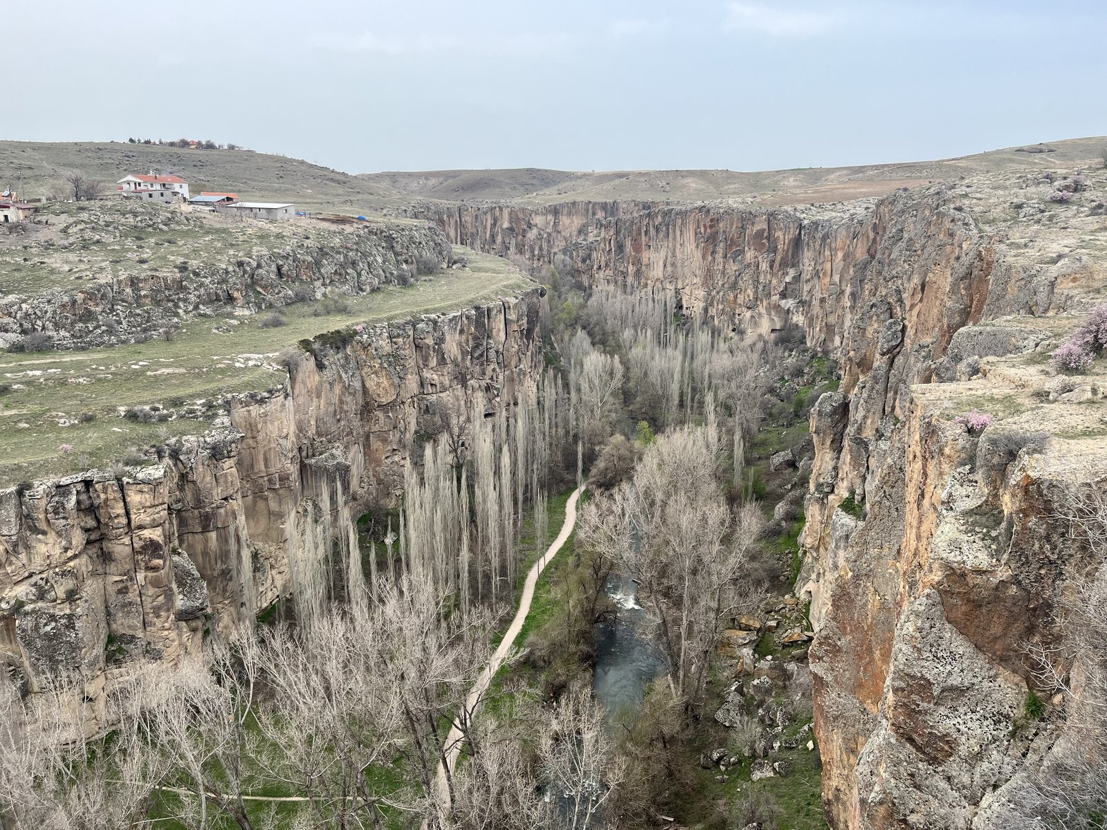 Зелёный тур (Green Tour) - фото 1